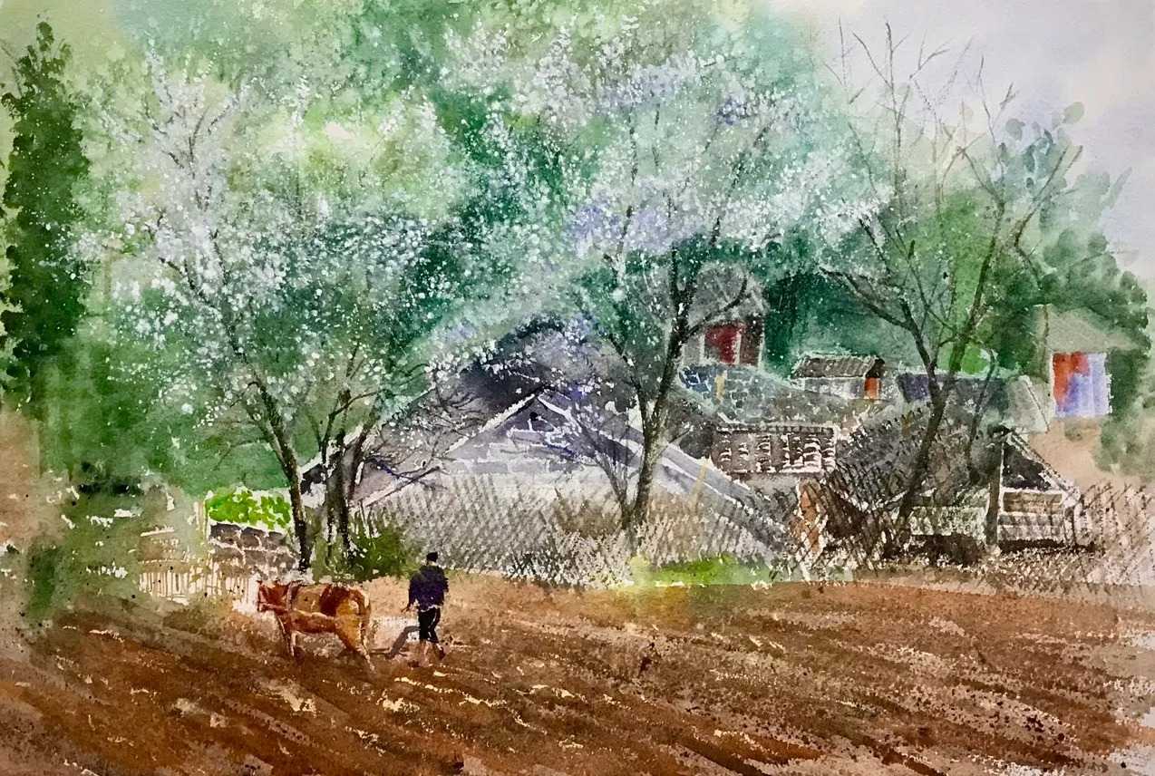Spring Plowing Day - Vietnamese Watercolor Painting By Artist Nguyen Ngoc Phuong