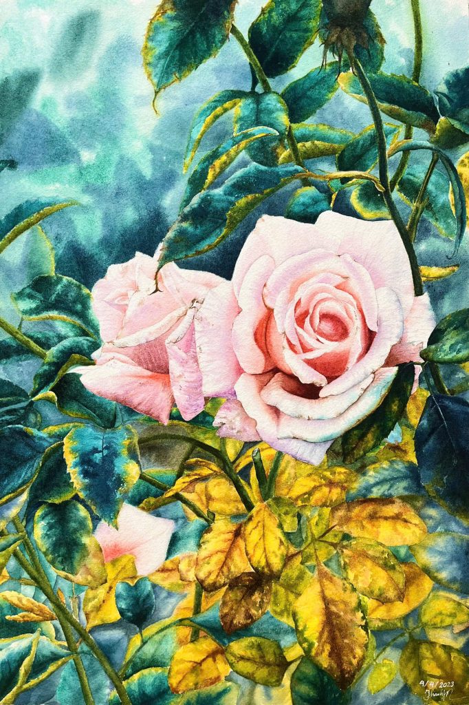 Peach Rose Watercolor Painting By Artist Thanh Ha